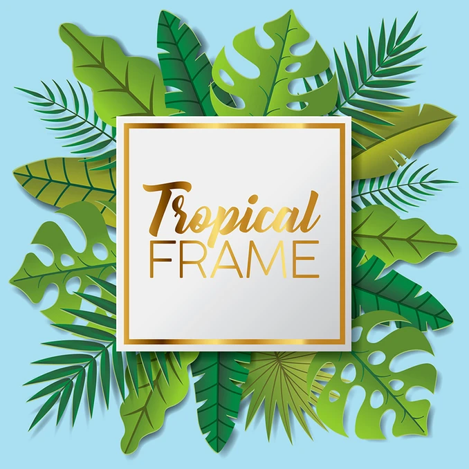 Tropical frame custom illustration